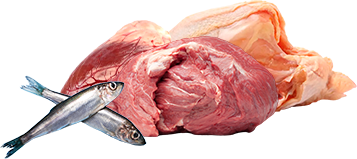 Carne y pescado frescos para comida barf